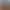 Red Dead Redemption | PS5
